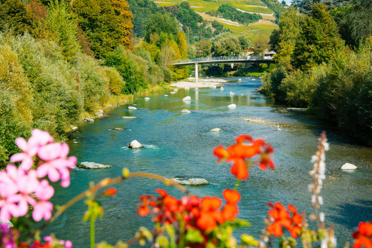 trees in autumn colors along river Isarco (Eisack), Chiusa, Italy