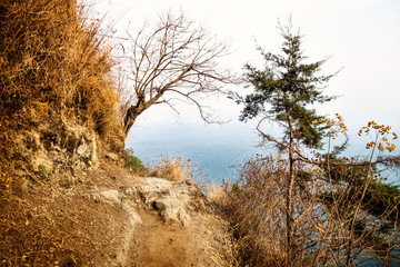 View on lake of Atitlan from walking path between Santa Cruz and Jaibalito, Lago de Atitlan, Guatemala
