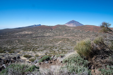 Teneriffa im Februar 2019 Kanaren kanarische Inseln Insel Tenerifa Canarias Islas