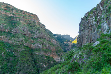 Teneriffa im Februar 2019 Kanaren kanarische Inseln Insel Tenerifa Canarias Islas