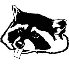 Decorative portrait of raccoon