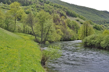 Fototapeta na wymiar Pliva River in Pljeva Village, Bosnia and Herzegovina