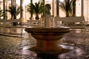  Thermal spring with medicinal water in front of the Mill Colonnade in Karlovy Vary in the Czech...