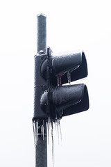 black frozen traffic light in wintertime