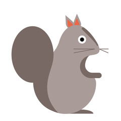 squirrel flat illustration on white