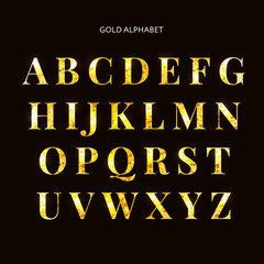 Vector golden letters. Set of gold alphabet. Frame glitter