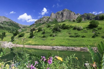 Forest lake summer landscape. Summer forest lake panorama. Forest lake shore view .savsat/artvin/turkey