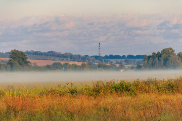 Obraz na płótnie Canvas Summer landscape with green misty meadow, trees and sky. Fog on the grassland