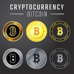 bitcoin collection is one of cryptocurrency with a circle of gold and silver, titanium.