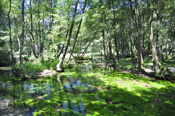 Obraz premium Bosna River Sources, Bosnia and Herzegovina