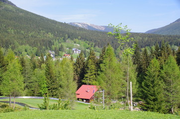 Fototapety na wymiar - Fototapeta24.pl