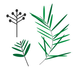 foliage flat illustration on white