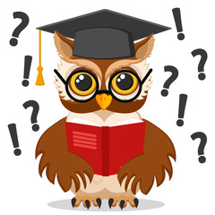 Smart owl in a hat and glasses reading a book on a white.