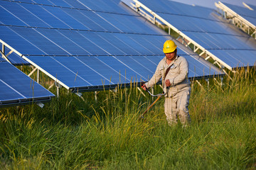 Asian worker mowing grass at solar photovoltaic power plant using lawn mower