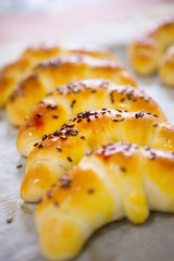 Close up shot of tasty looking homemade rolls