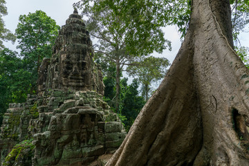 The ornate northern gate to the Angkor Thom temple with a large tropical tree trunk in the foreground