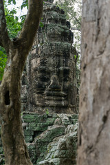 Sculpture framed by jungle trees at the Angkor World Heritage Site
