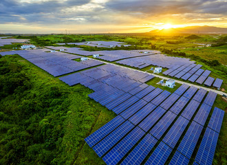 Solar photovoltaic panel base surrounded by aerial green plants