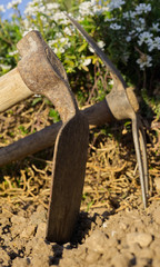tools for work in the garden