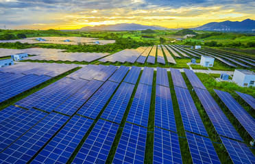 Solar photovoltaic panel base surrounded by aerial green plants