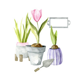Watercolor composition of gardening flowers and tools