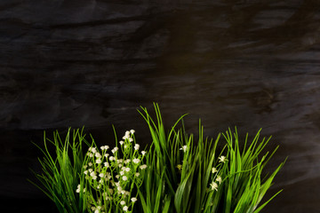 Wildflowers on a black wooden or metal background