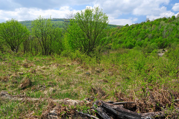 Bergwiese im Naturreservat Bijele und Samarske Stijene (Velika Kapela), Kroatien
