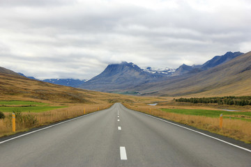 Road with mountains in background (Iceland)