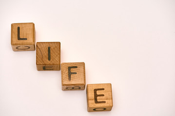 wooden cubes on a white background and the word laid down life 