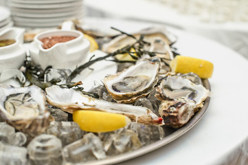 Fototapeta na wymiar Dish with live oysters on the table in the interior of a luxury restaurant