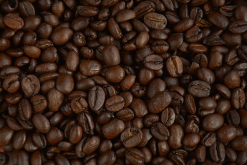 roasted shiny coffee beans