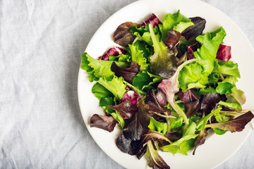 Fresh mixed salad.