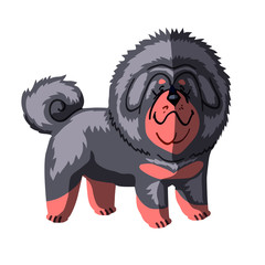 chauchau black dog drawing