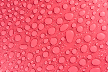 Water drops on a pink, matte background illuminated with a delicate light.