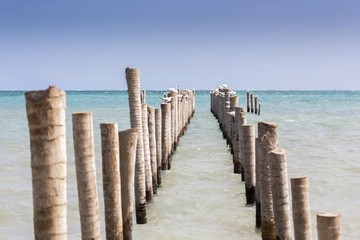 Sea Gulls and Pelicans Resting on Remains of Abandoned Wooden Pier on Caye Caulker Caribbean Island in Belize Central America