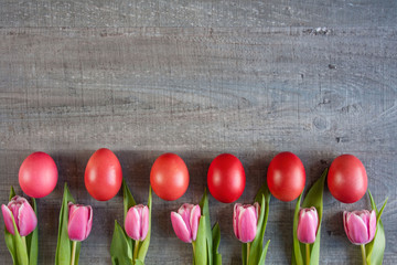 Kolorwe pisanki, różowe tulipany - wielkanocne tło