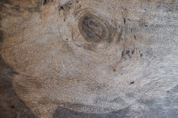 Obraz premium Wood art texture grunge background