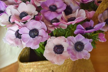 bouquet di anemoni viola
