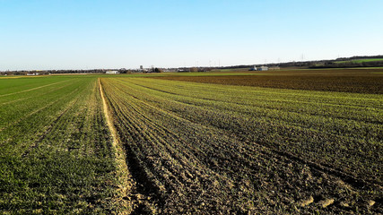 Cultivated farmland