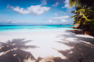 Fototapeta na wymiar Idyllic perfect tropical dream beach. Powdery white sand, crystal-clear water, summertime vacation Seychelles