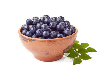 Fresh blueberries in ceramic bowl on white