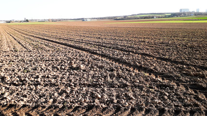 Cultivated farmland