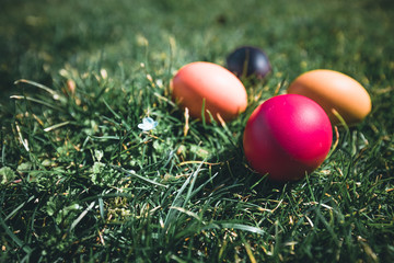 Eeggs decorated with bright colors Placed in a lawn with beautiful sunshine. Easter concept.