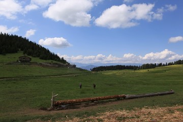 Beautiful Natural Greenery in village.artvin/turkey