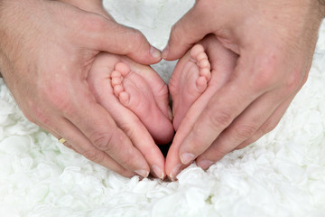 Babyf&uuml;&szlig;e mit den H&auml;nden der Eltern