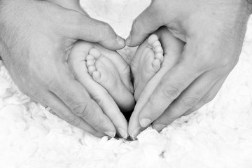 Babyf&uuml;&szlig;e mit den H&auml;nden der Eltern