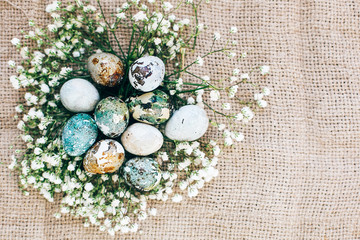 Obraz na płótnie Canvas Stylish Easter quail eggs with spring flowers in floral nest on rustic fabric in sunny light on wood. Modern colorful eggs painted with natural dye in blue, green. Happy Easter, greeting card