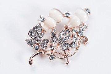 Fancy jewelry brooch with white background