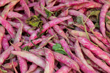 Fresh borlotti beans in a market in Aix-en-Provence, France
