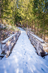 View at Snow Trail with wooden bridge in Park in Vancouver, Canada.